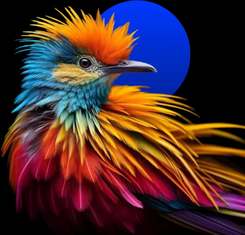 Freelance Society Birds Freelance Society Birds